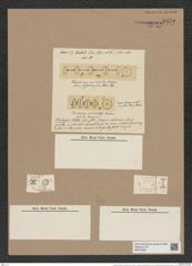Trochosira mirabilis et spinosa Kitt. (de-Toni-Nr.: Genus 226, Species 5516, et, 5517) Zeichnungen Sammlung Grunow Nr. 9470 (NHMW-BOT-W0379338)